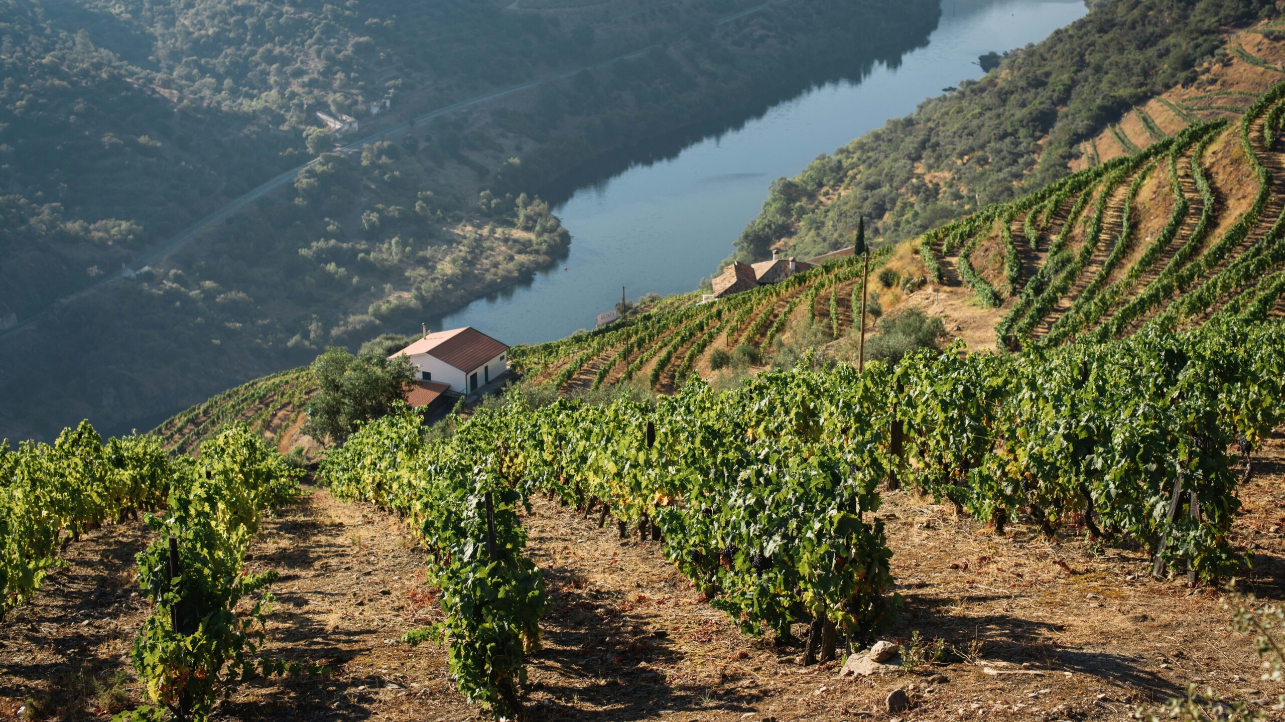duoro valley in portugal