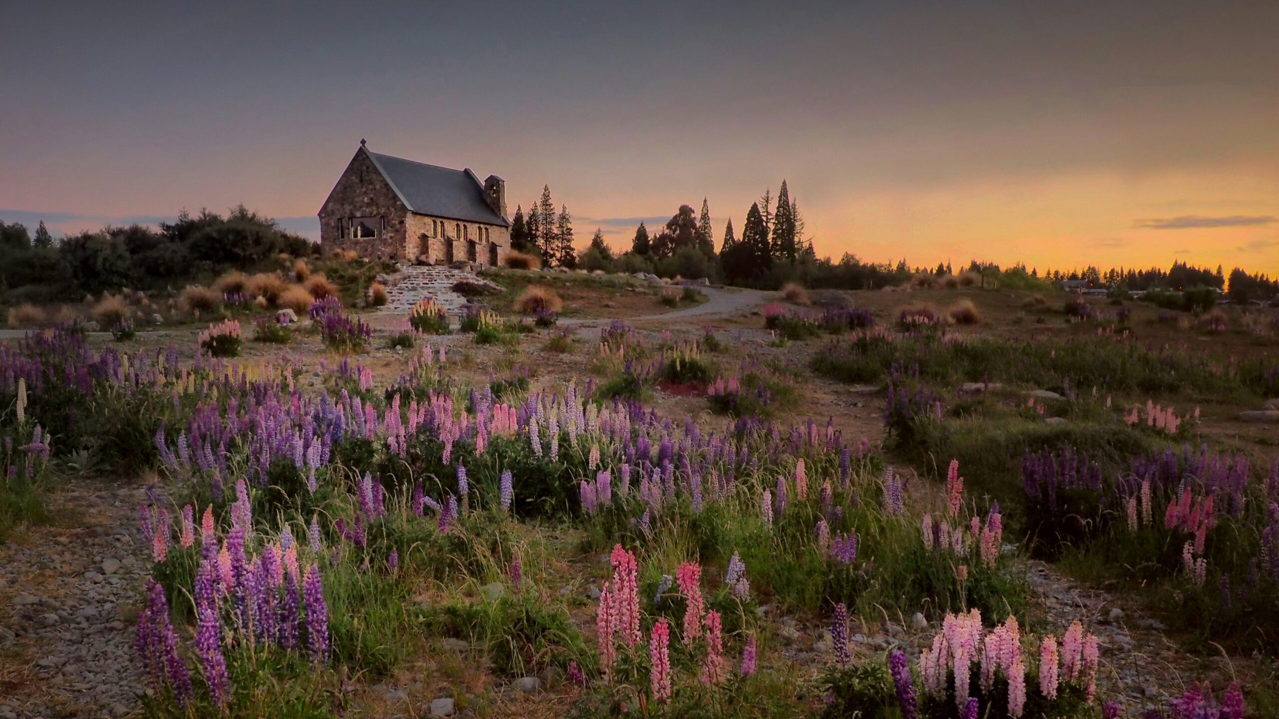 house and flowers near Lake Tekapo, new zealand