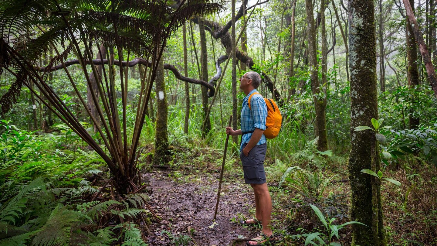 Well-fitted footwear is a non-negotiable when hiking through Asia's rainforests