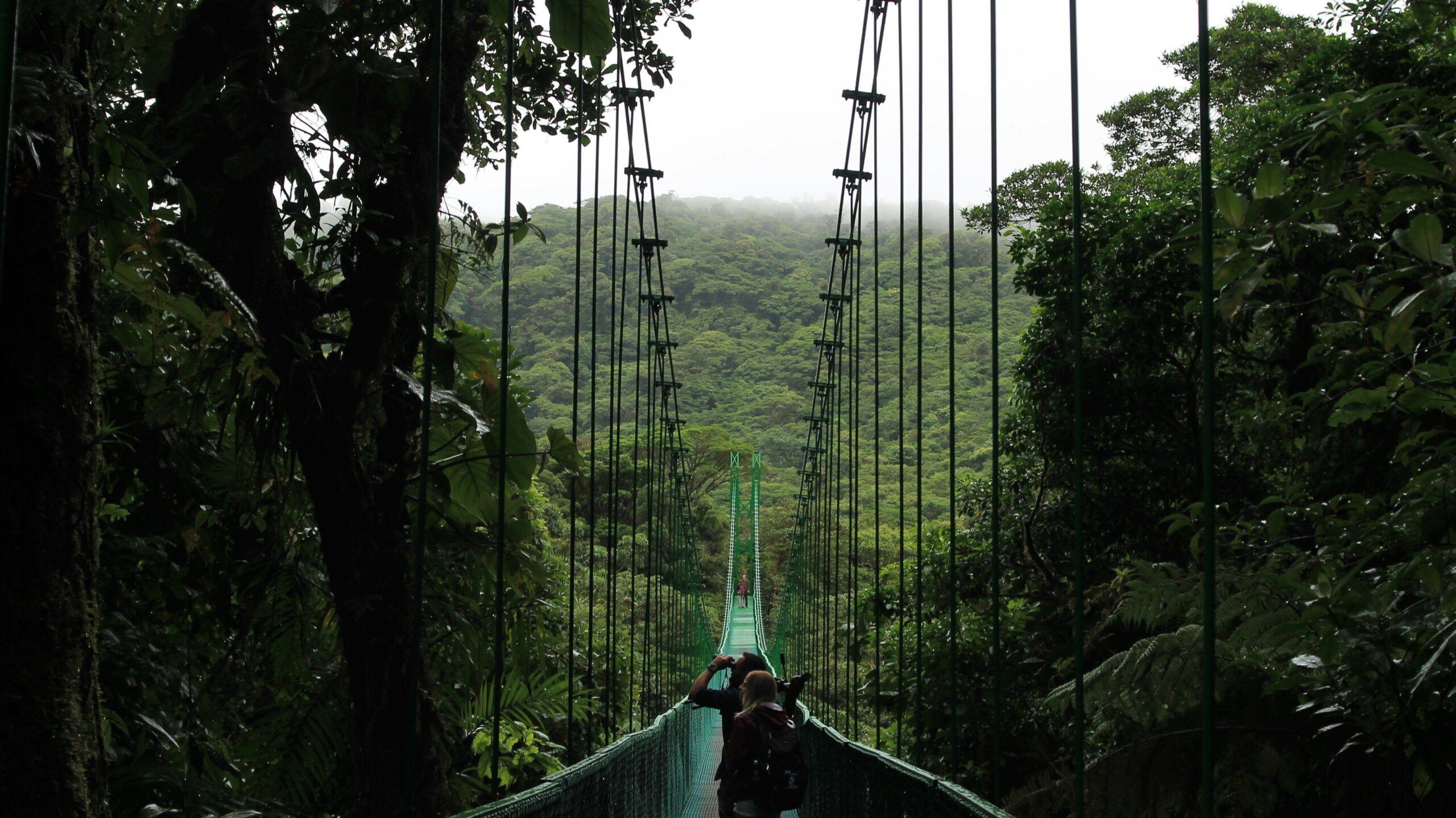 sky walk in monteverde cloud forest, costa rica