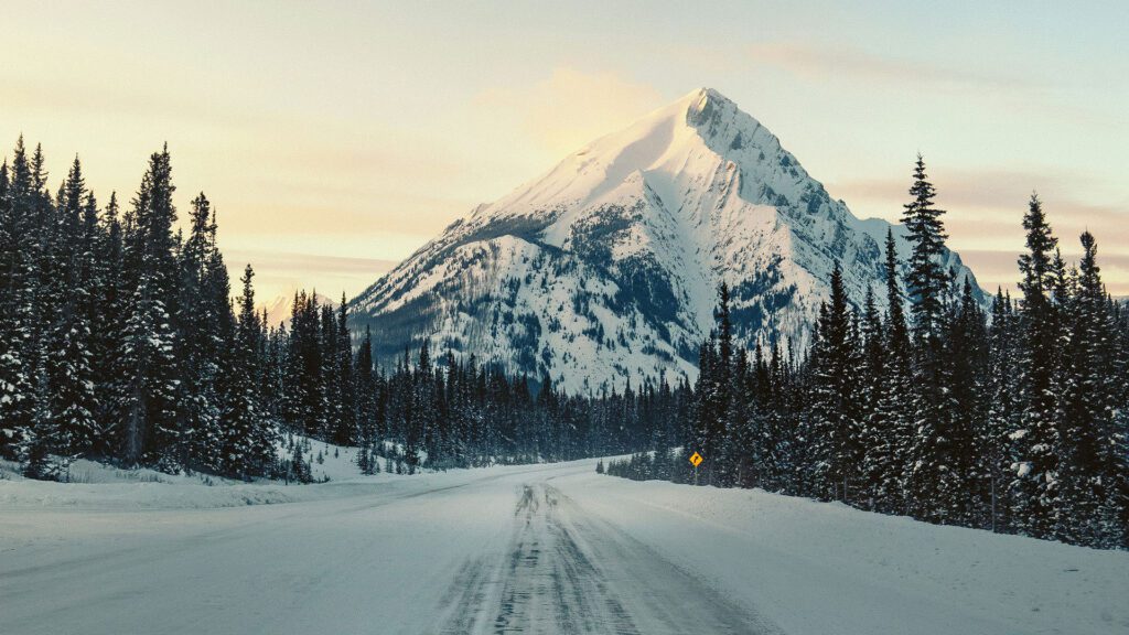 Snow-covered road disappearing around a bend with snow-covered pine trees either side and a snow-capped mountain in the distance