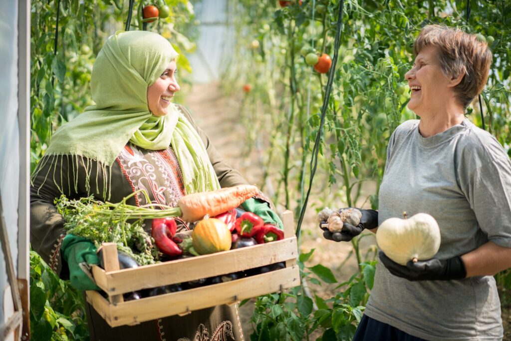 Women laughing while picking veg