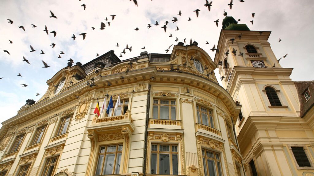 Pigeons flying above the roof of a baroque-style building