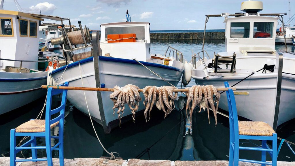 fishing boats with caught octopus hanging over a wooden pole