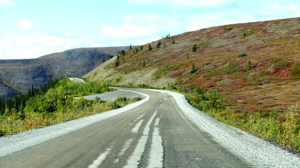 Patches of grass, bushes, and trees lining the Top of the World Highway in the Yukon.