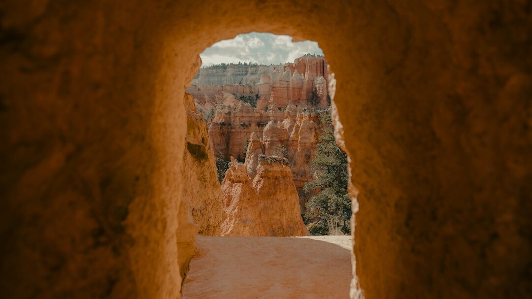  Joshua Tree National Park