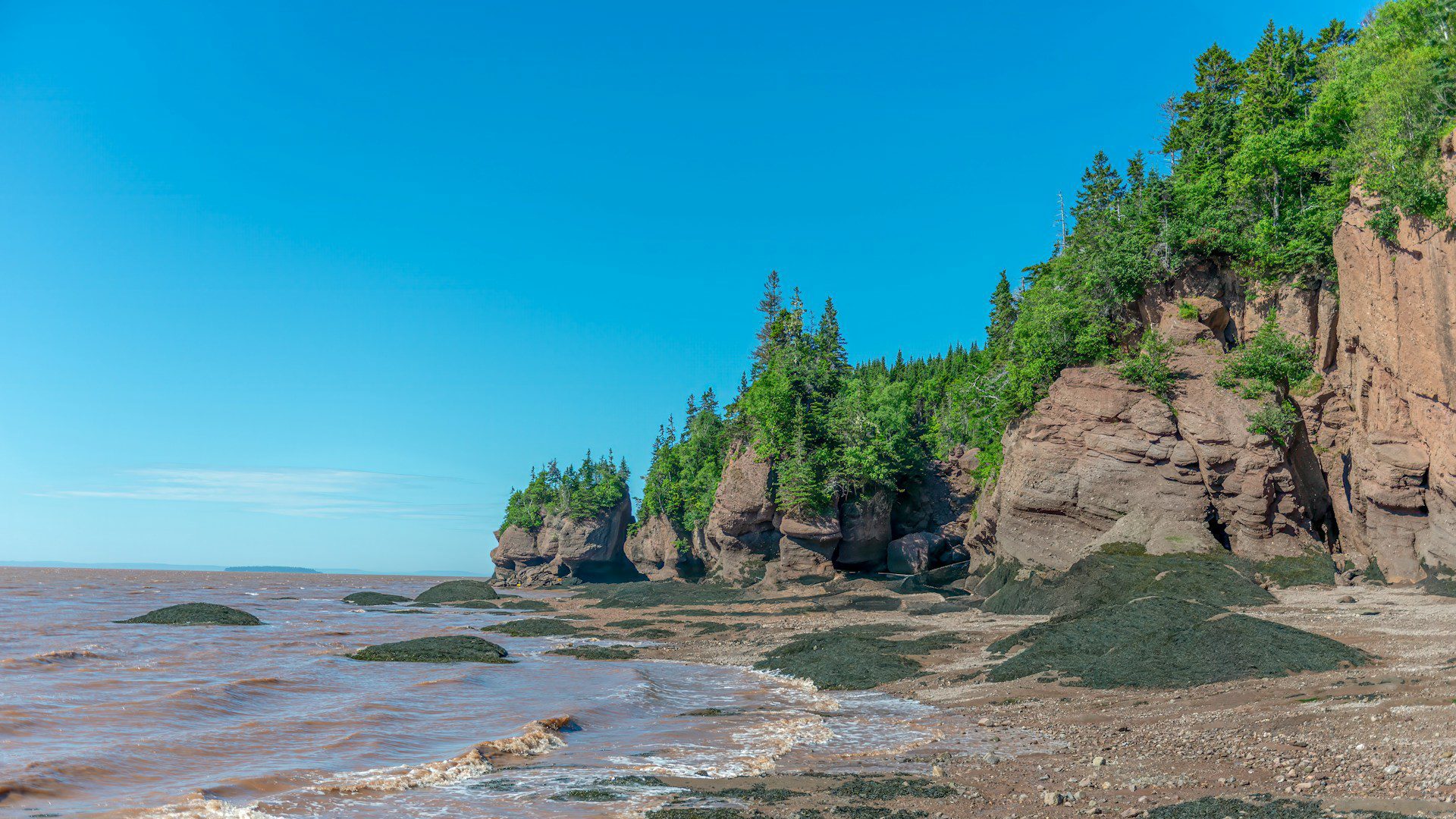 Low tide washing up against rocks on the Bay of Fundy.