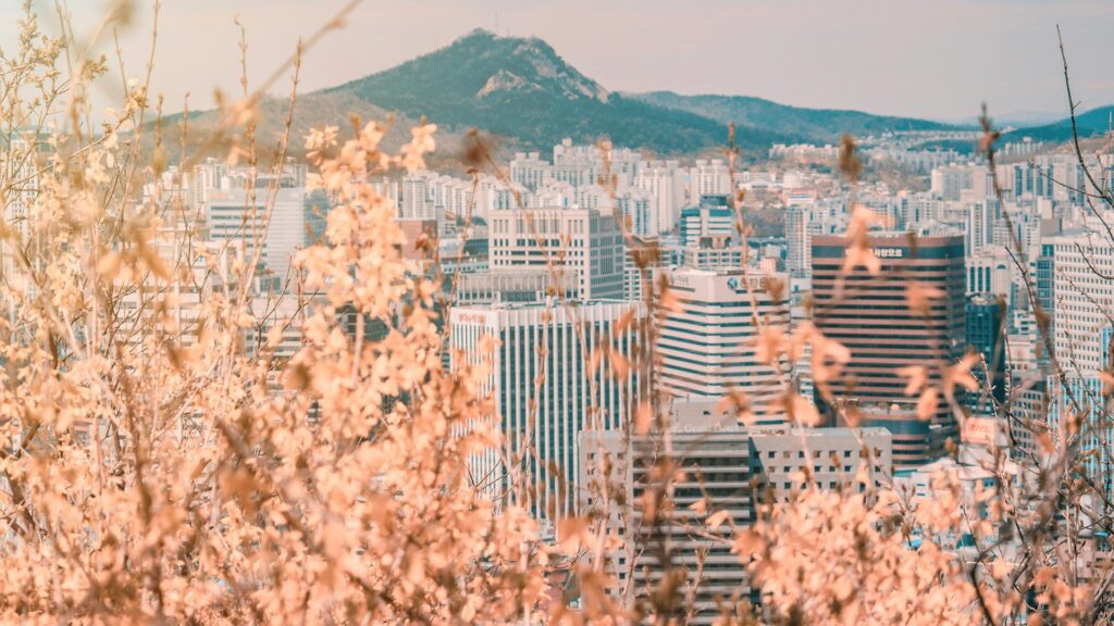 Blossoming trees in Seoul city in South Korea