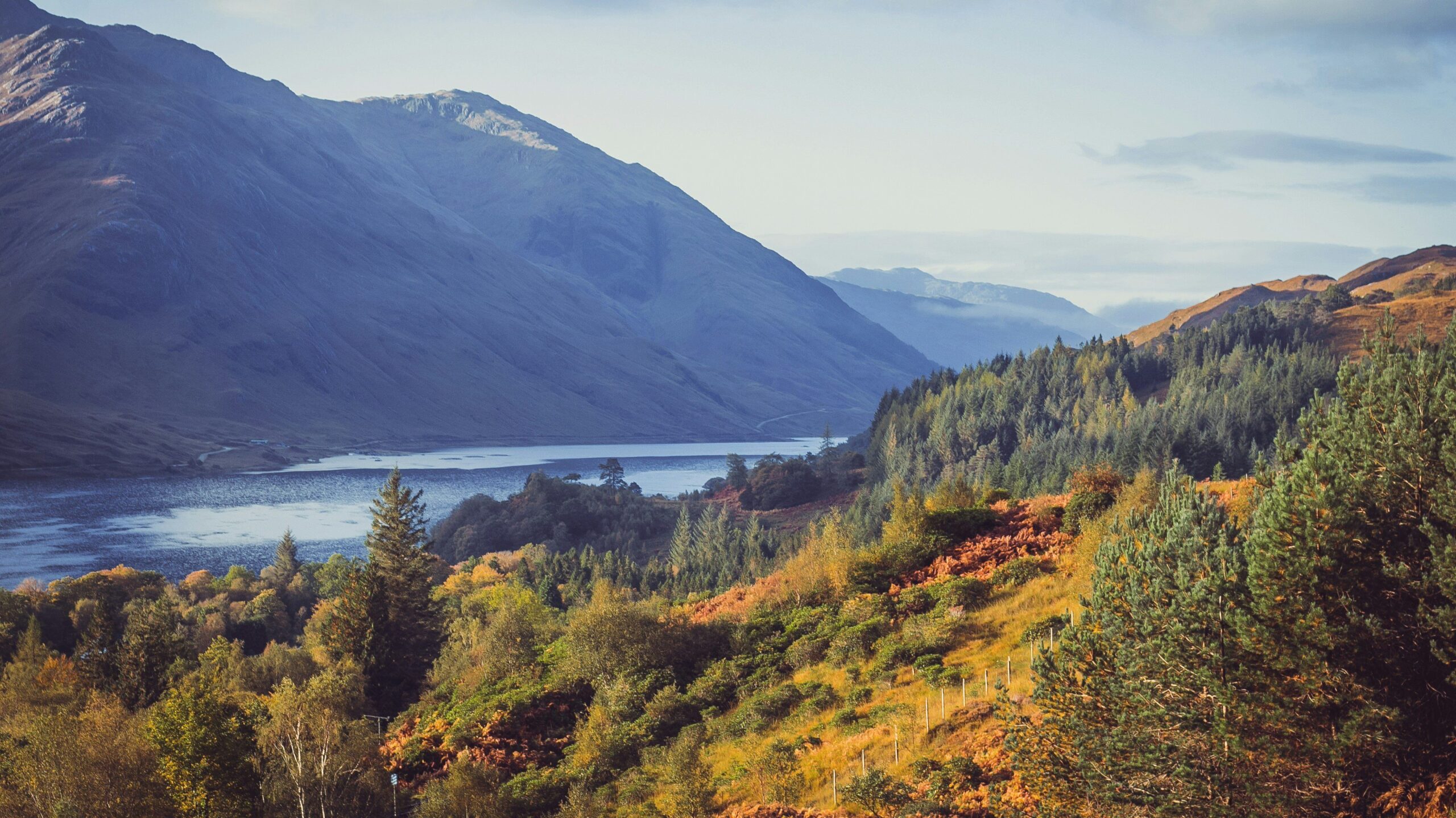 View of Loch Shiel, Scotland, across a wooded hillside 