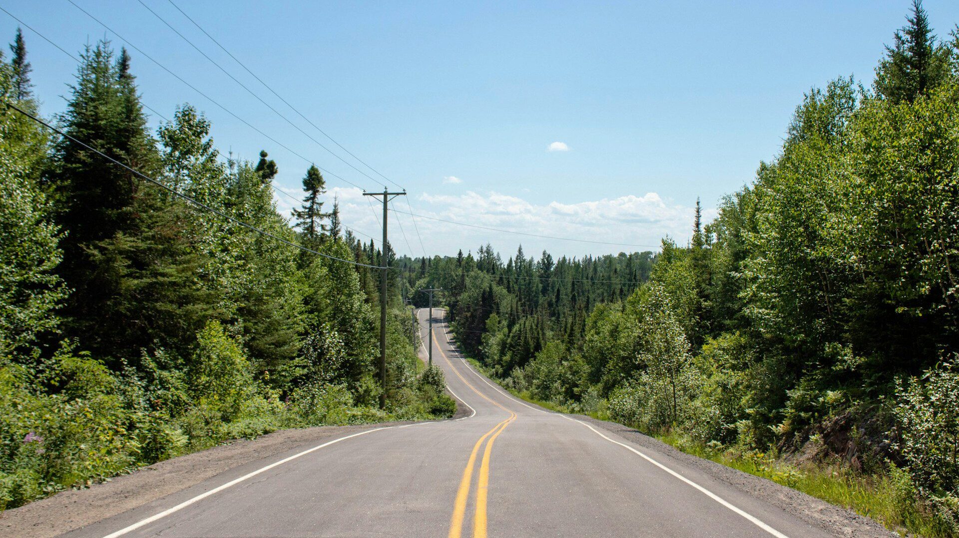 Country road winding through a wooded landscape