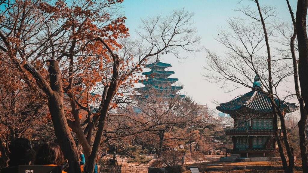 Temples in South Korea surrounded by trees with autumnal leaves