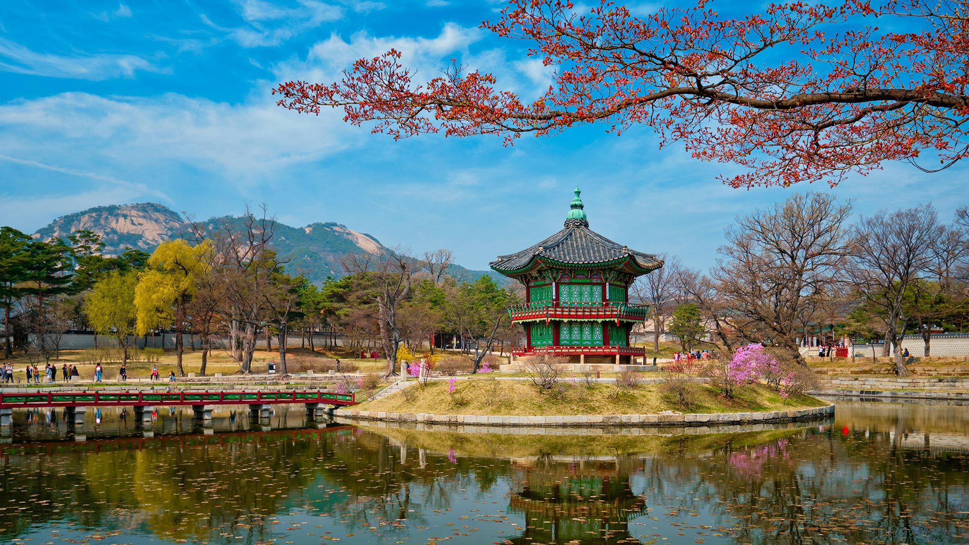 Best Time to Visit South Korea - THE REAL WORD