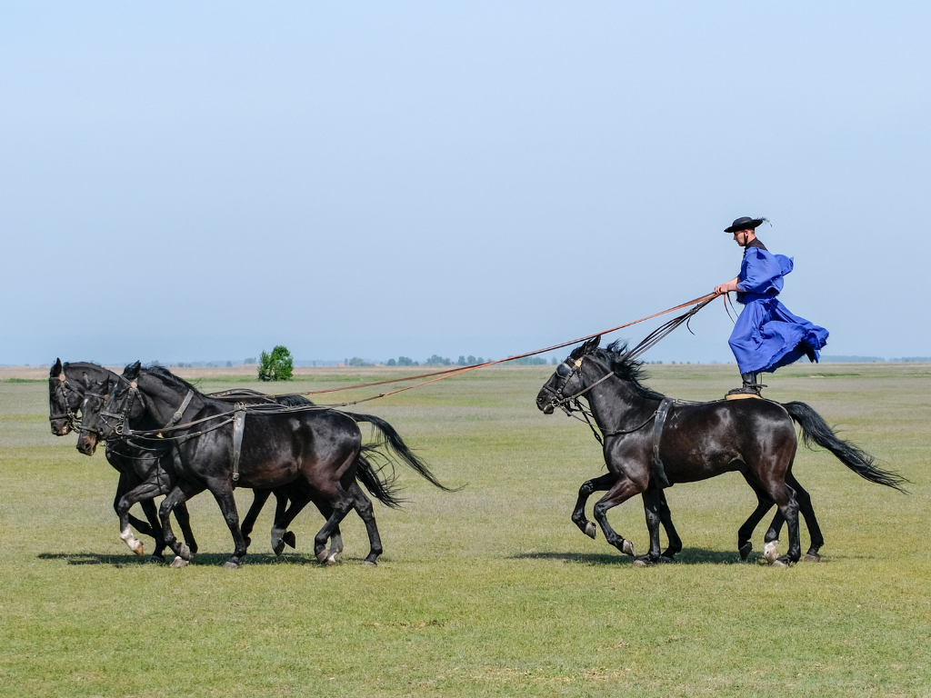 man on horse in national park near debrecen