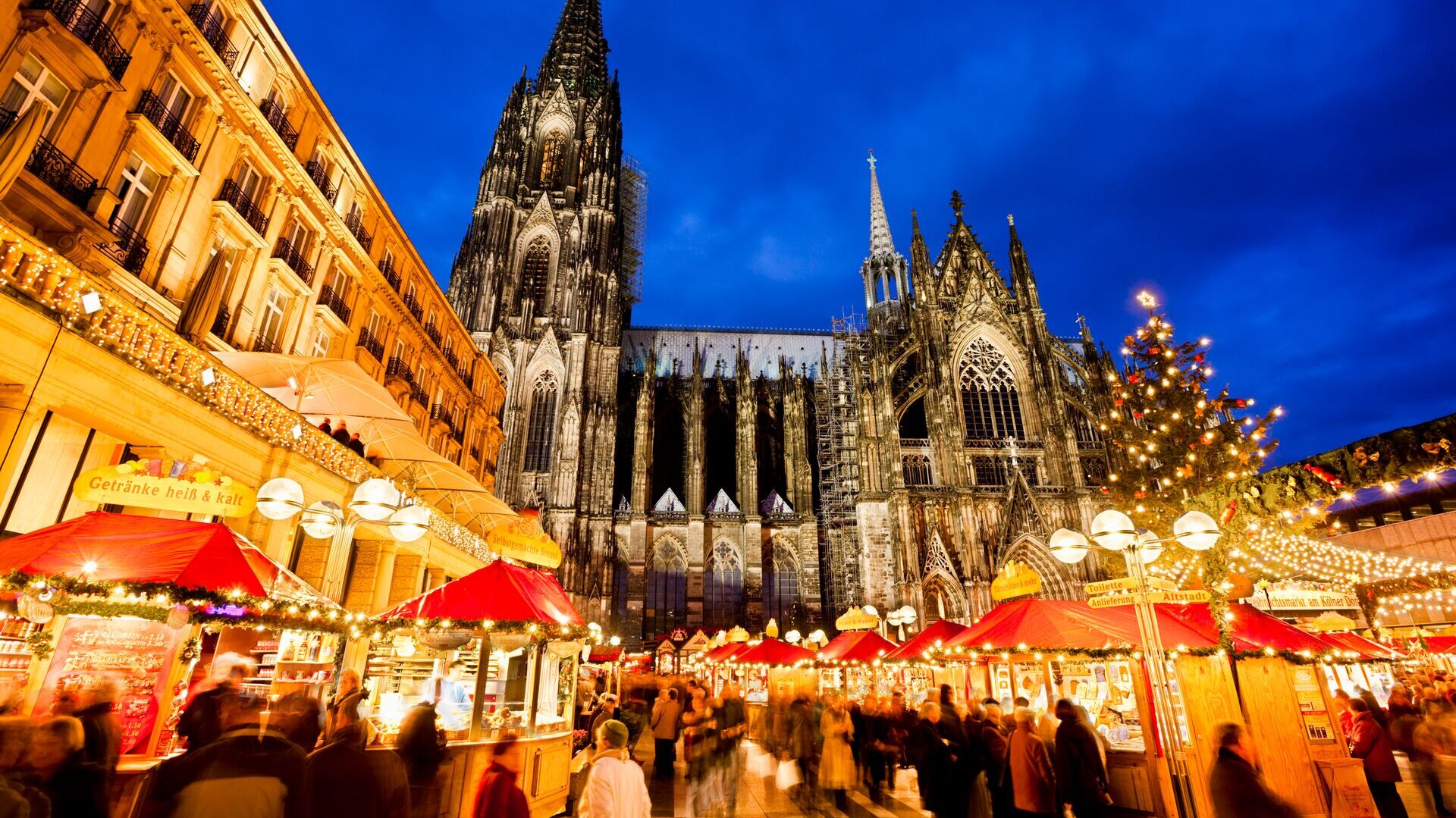 cologne christmas market