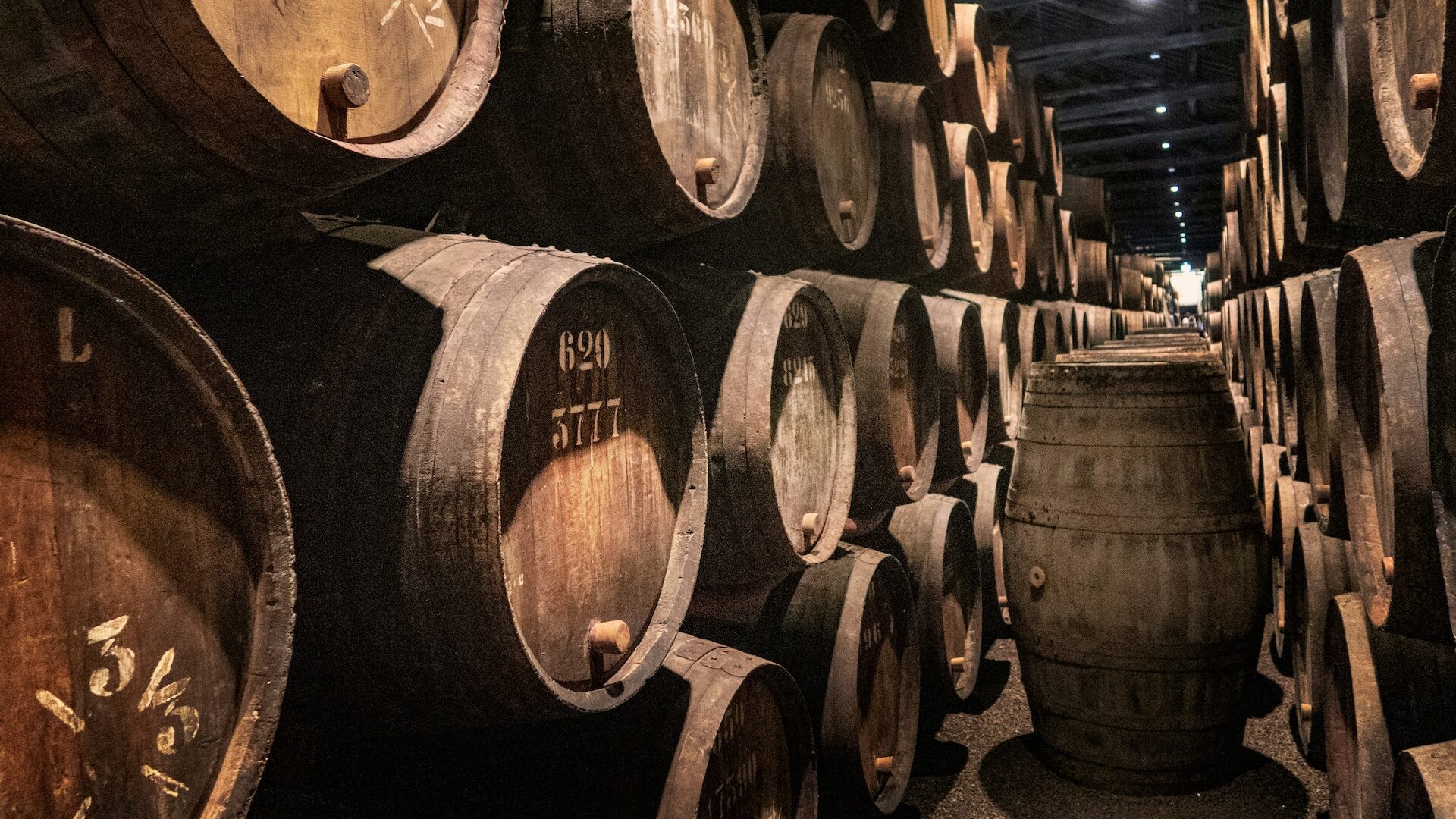 port cellar