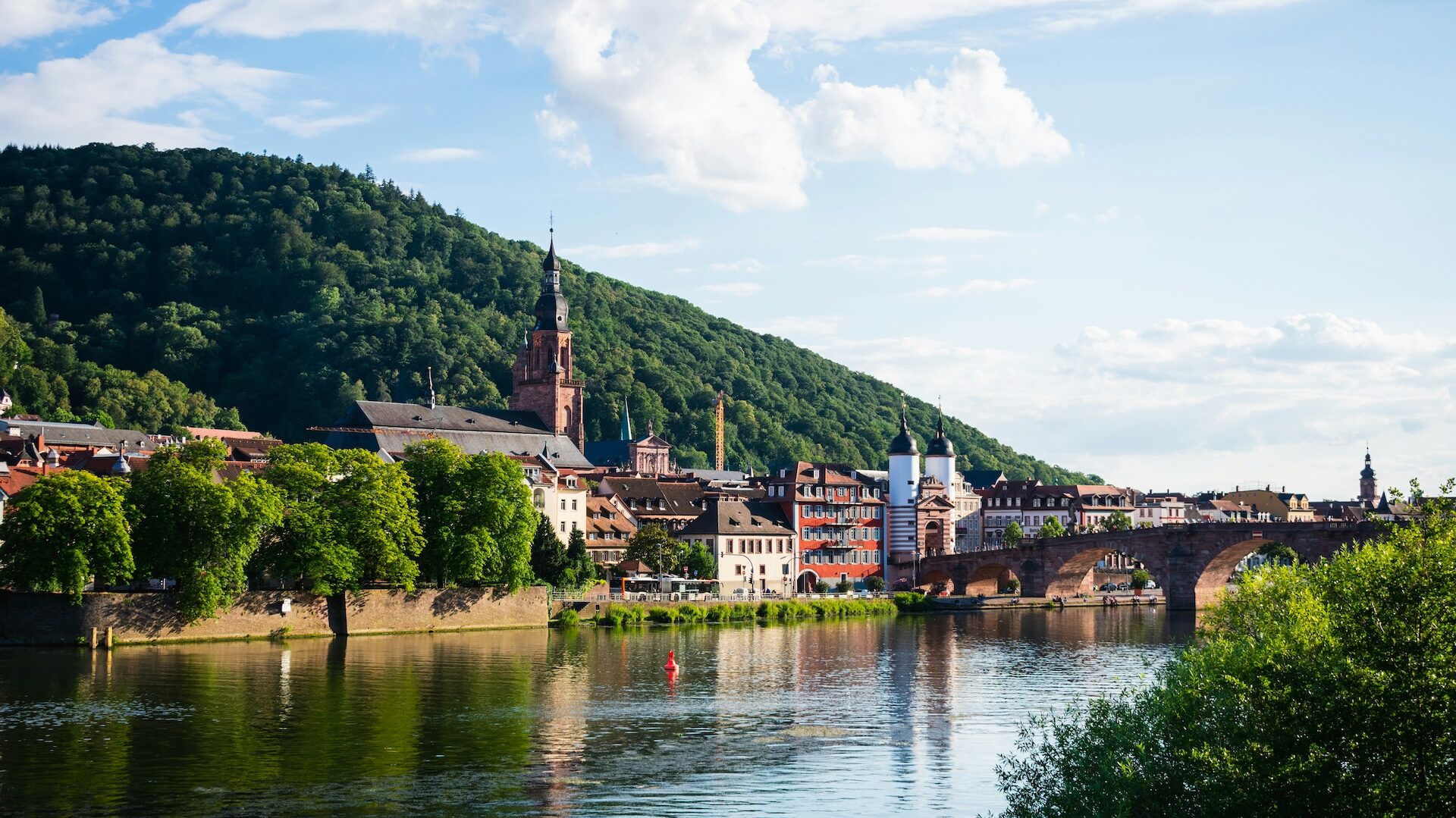 Heidelberg on the rhine river