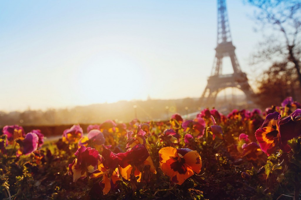 Paris foregrounded by colorful flowers