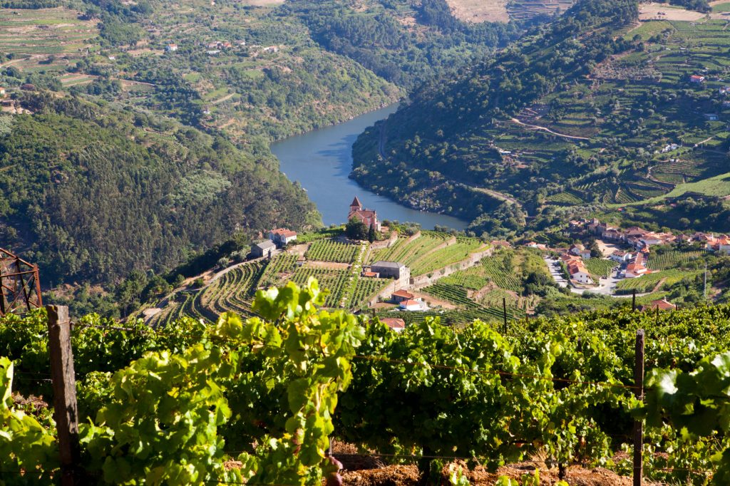 Six Senses Douro Valley wine estate and hotel sitting on a hill overlooking Portugal's Douro Valley