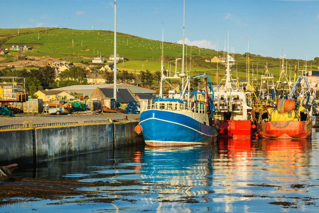 Boats in the harbor at Dingle, a village along the Wild Atlantic Way in Ireland