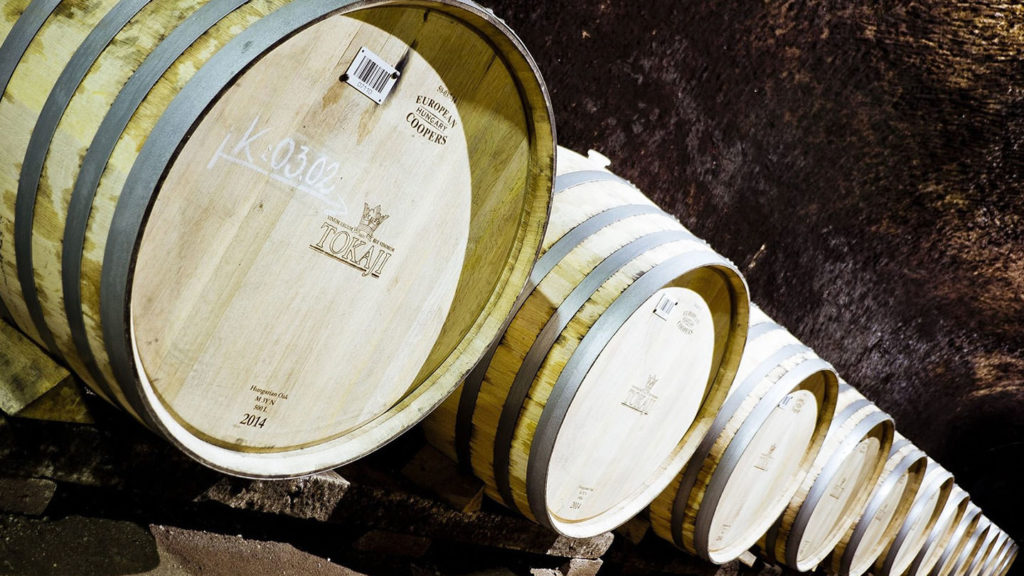 Barrels of sweet Tokaj wine ageing in a cellar