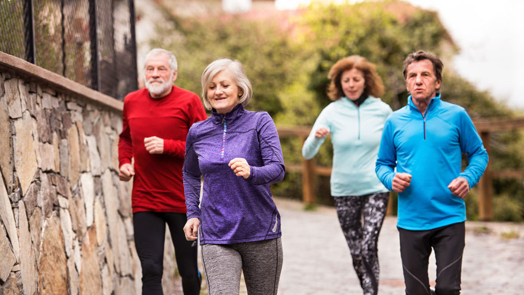 A group of elderly individuals enjoying a brisk jog in the park.