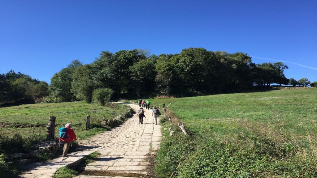 A group of people walking down a stone path in a field, following one of the Camino de Santiago routes.