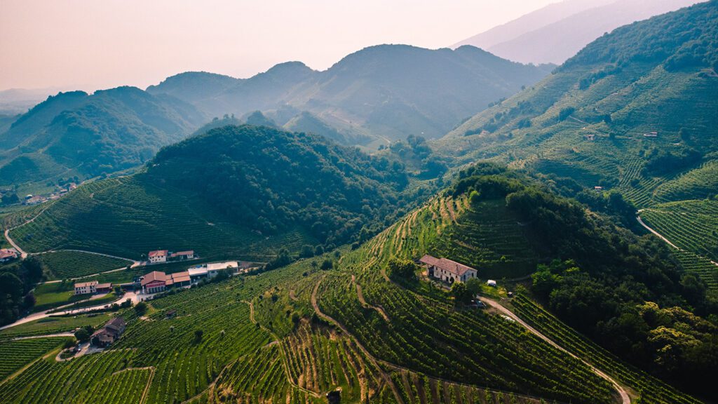 Aerial view of a lush, green vineyard in the prosecco wine region sprawling across rolling hills with buildings nestled among the rows of vines.
