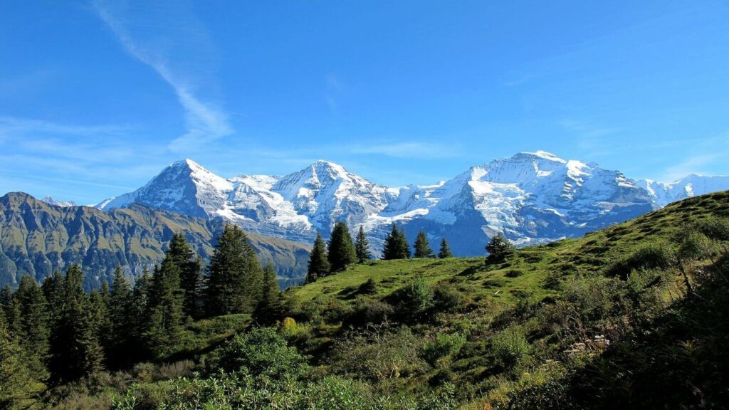 Snow-covered mountain peaks stand behind green forested hills