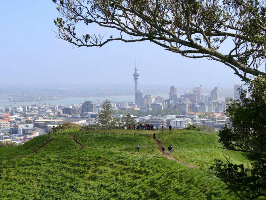 View of Auckland city skyline from the top of a hill