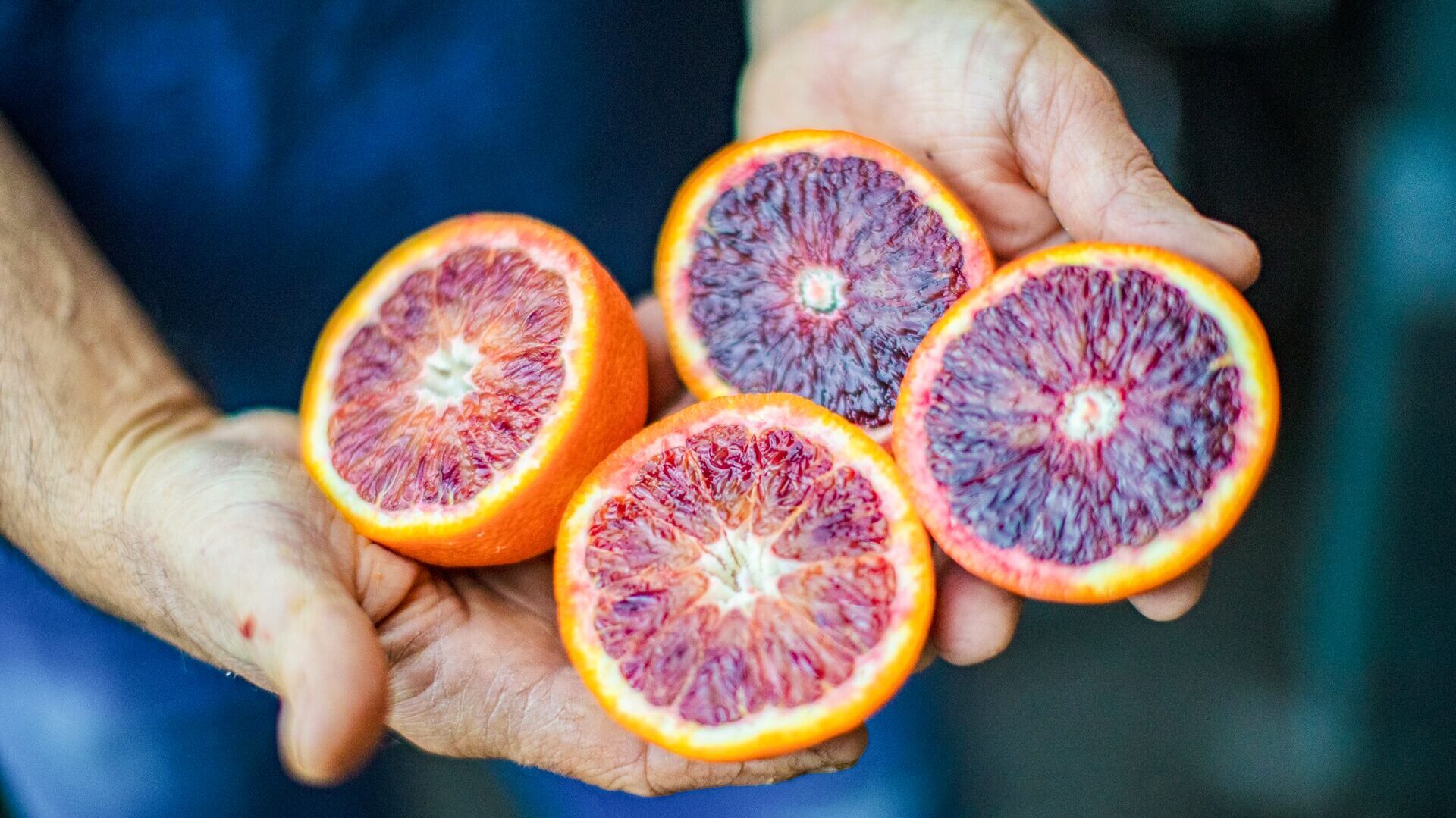 sicilian blood oranges