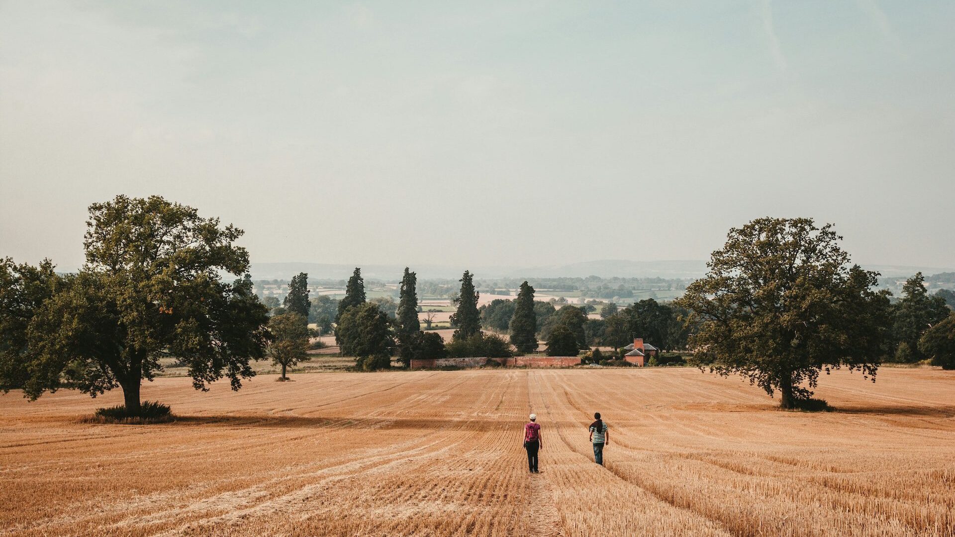 Fields around Weobley