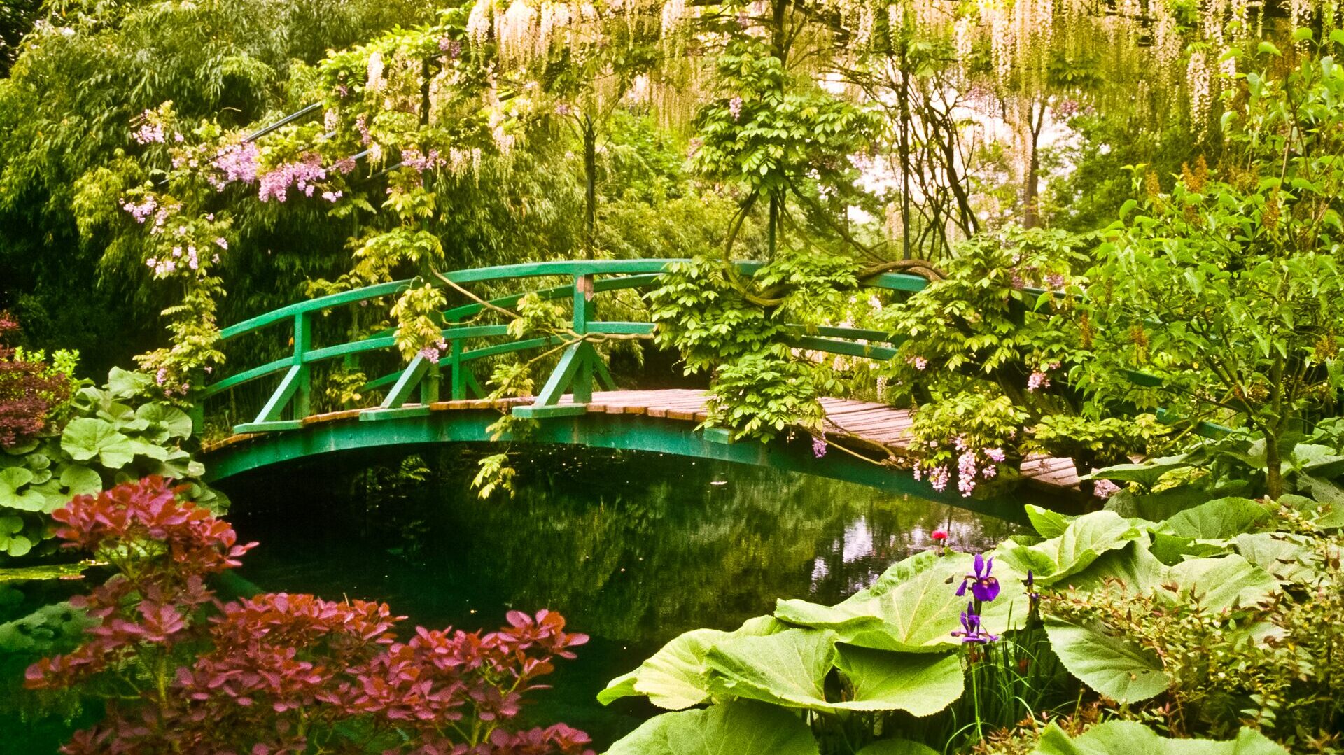 monet's garden bridge