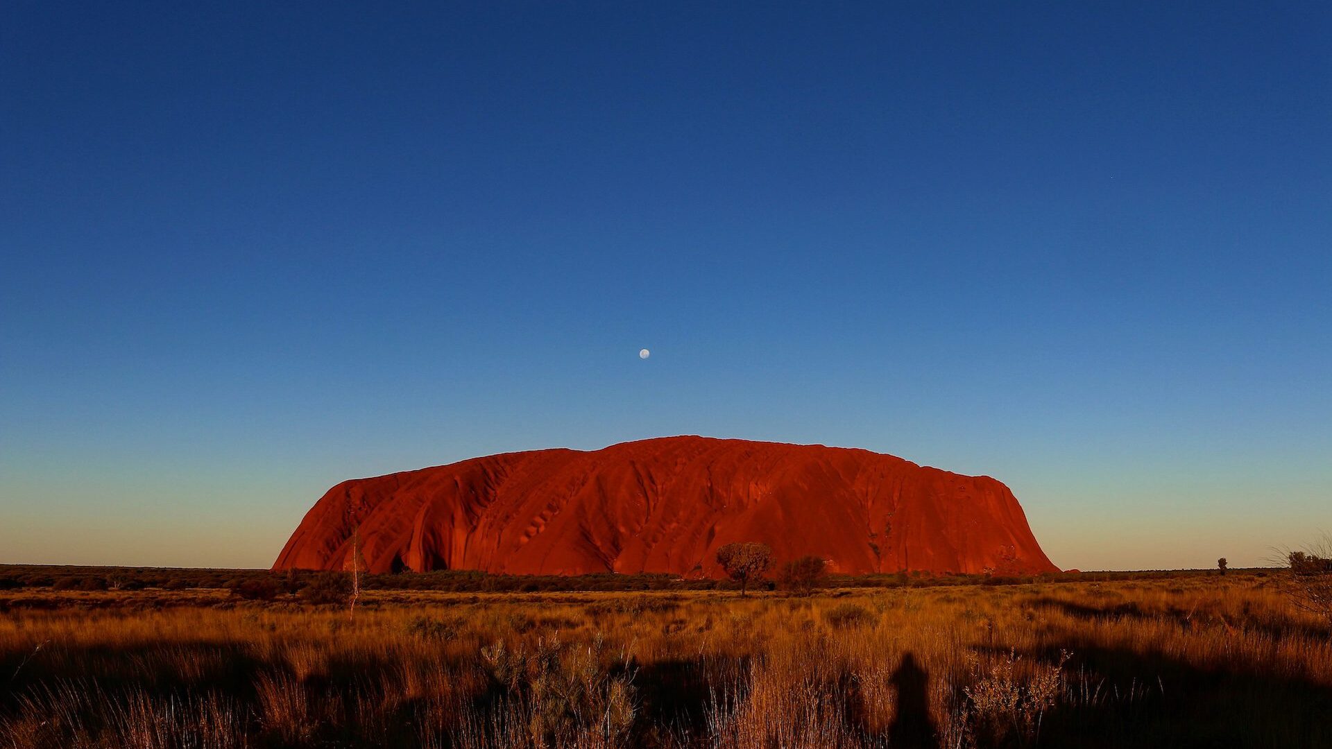 uluru rock at sunset