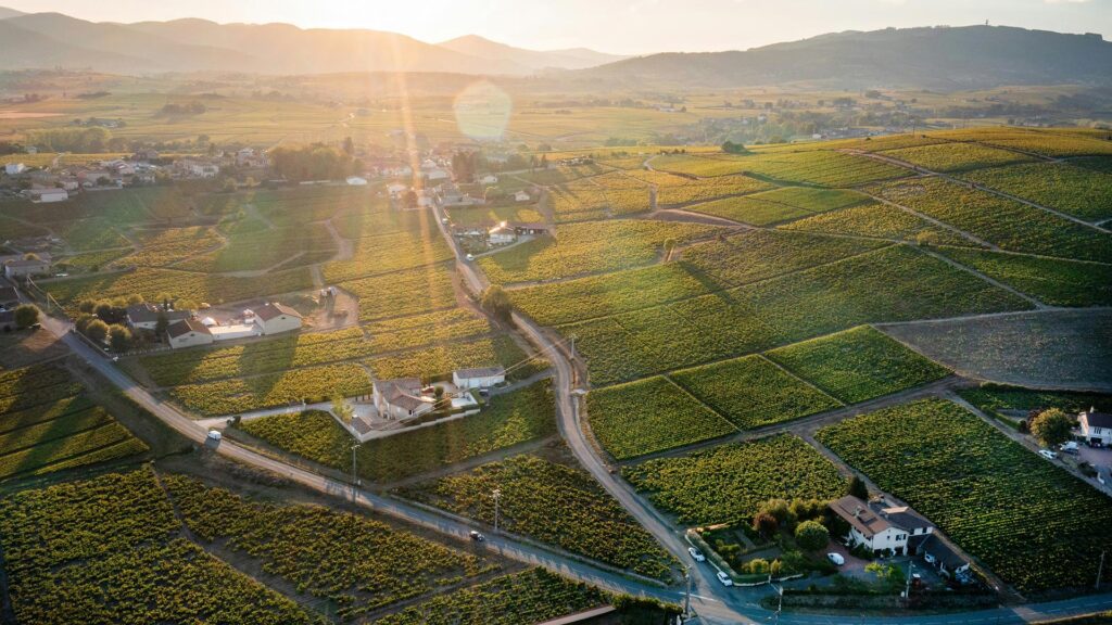 Aerial view of a lush, green vineyards in the Beaujolais wine region sprawling across a verdant plain with villages in the vines.