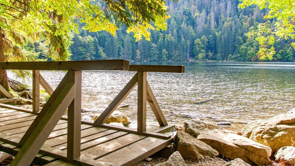 Wooden footbridge in foreground, crossing lake with forest in the background