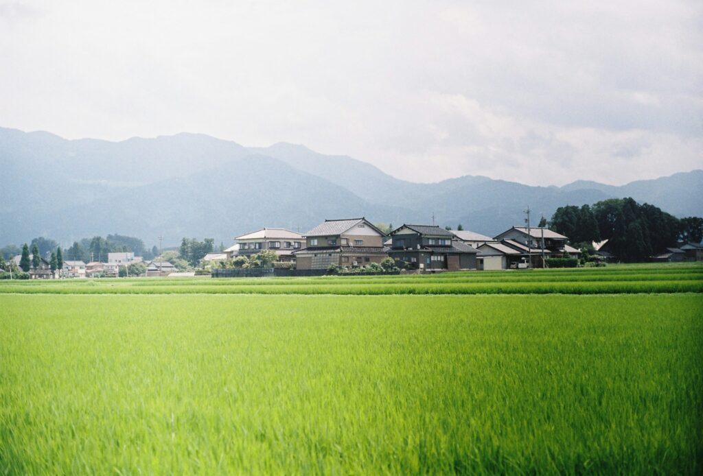 Rice fields and houses in rural Japan