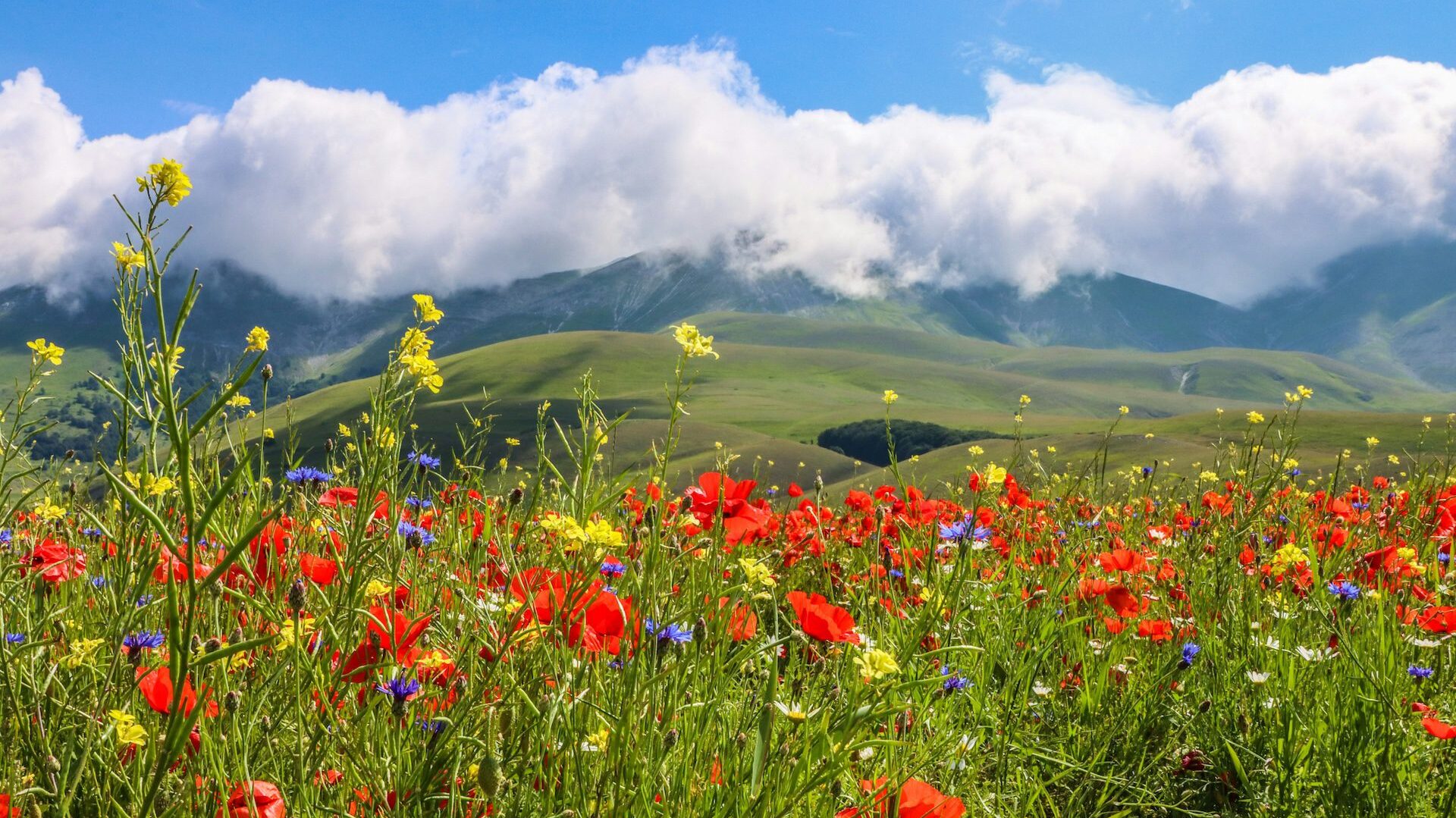 umbria countryside