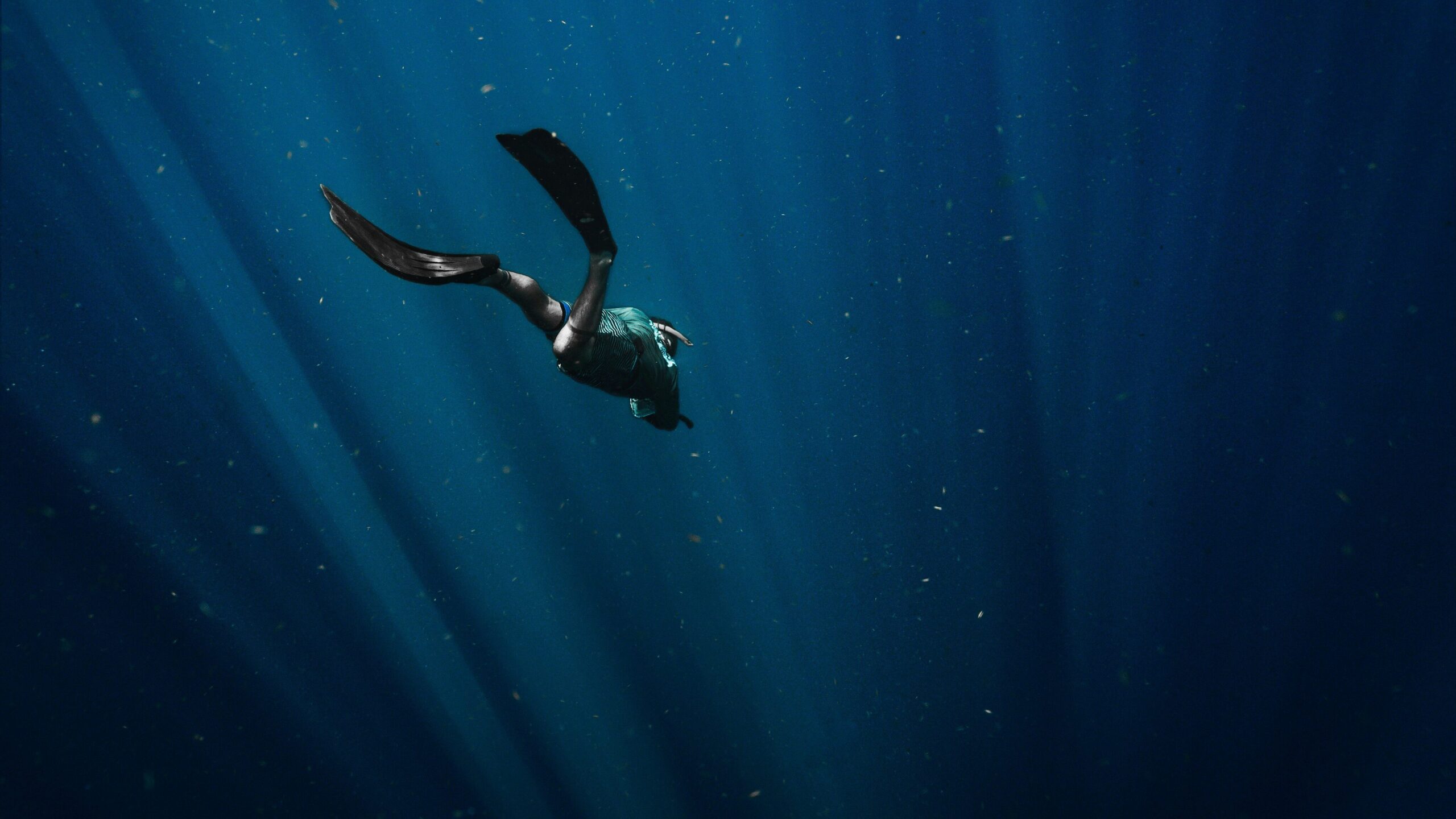 free diving