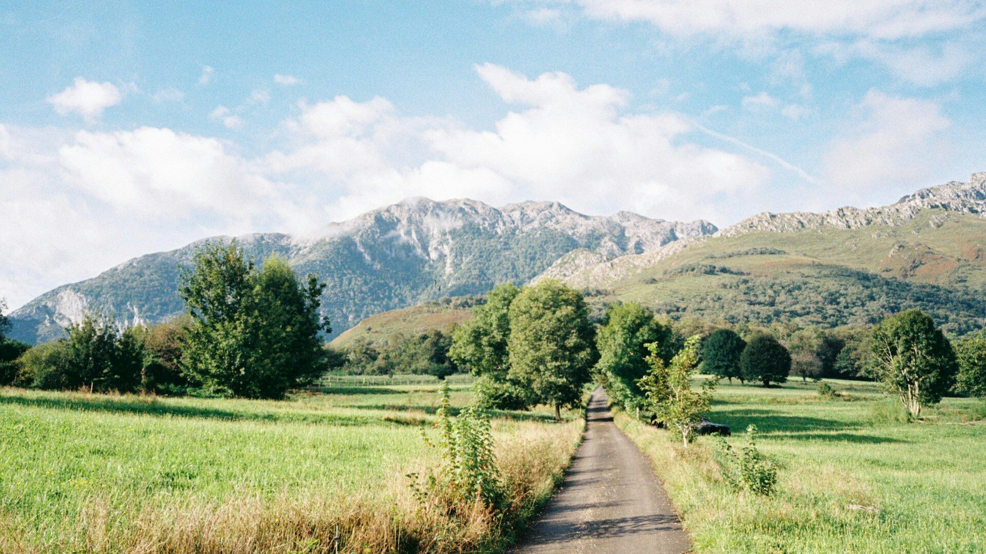 Empty gravel track leading through fields towards a mountain range