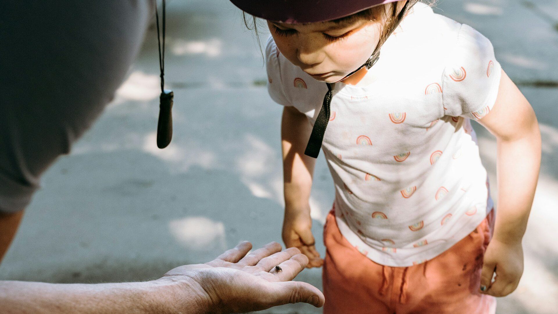 Young child looking at an insect on someone's hand