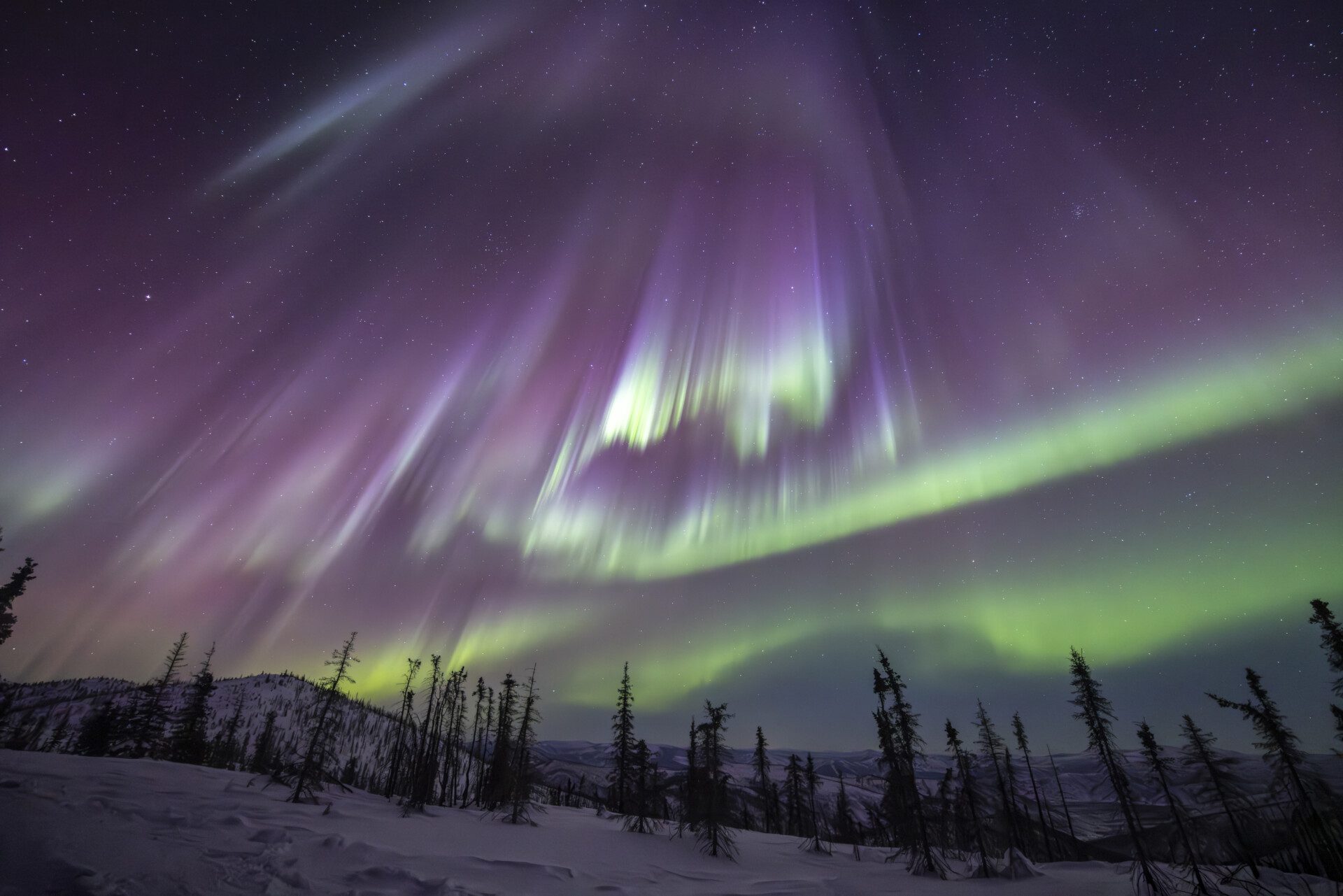 Northern Lights over a night time landscape of snow and spruce trees