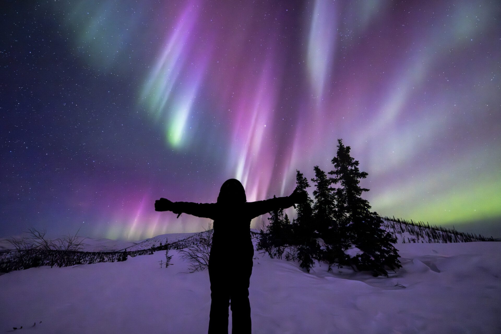 Silhouette of Aurora Dora with her arms outstretched looking up at the auroa over a snowy landscape