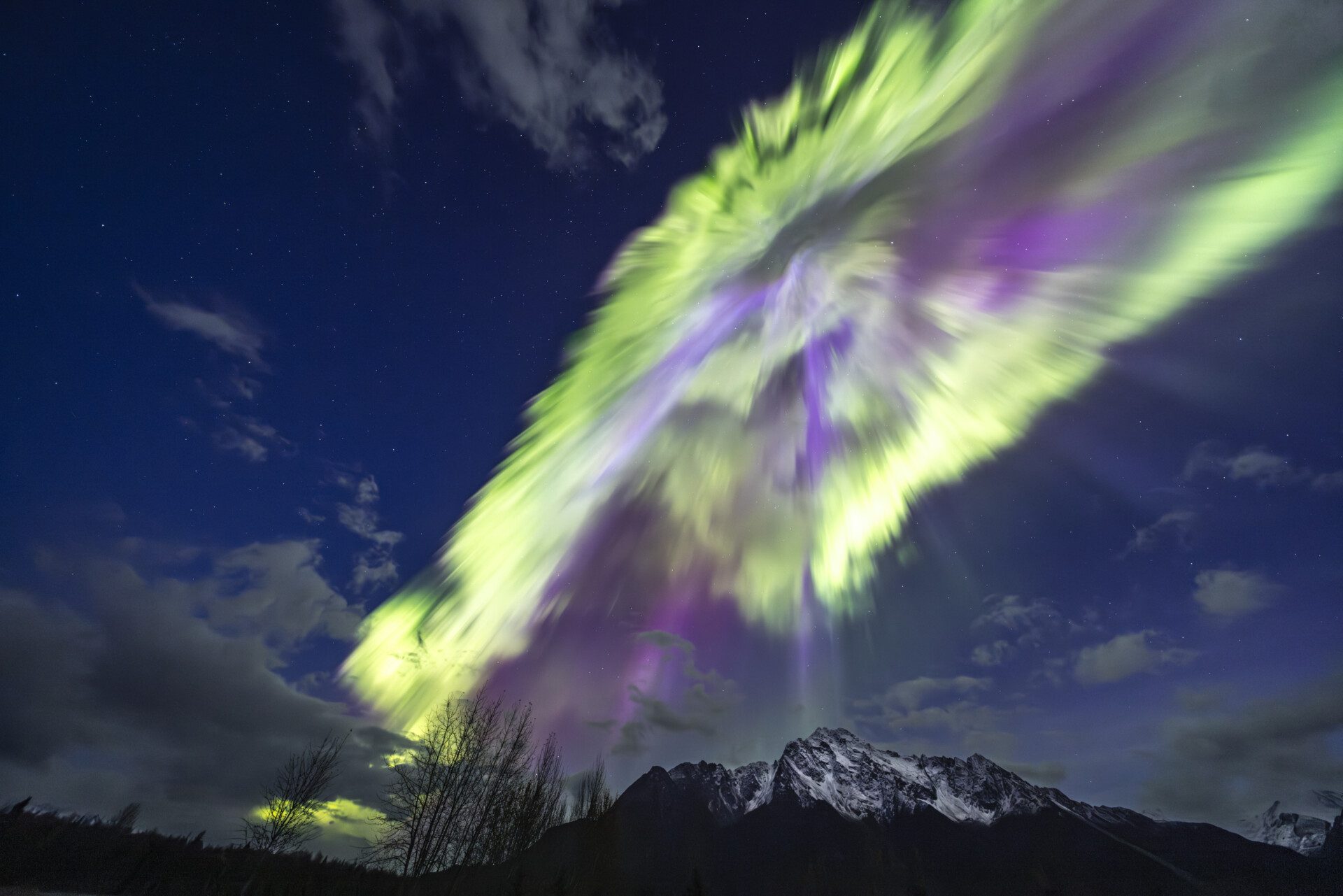 View looking up at the Northern Lights with silhouetted trees and mountain peak 