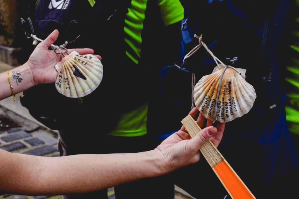 Scallop shells of pilgrims on the Camino del Santiago