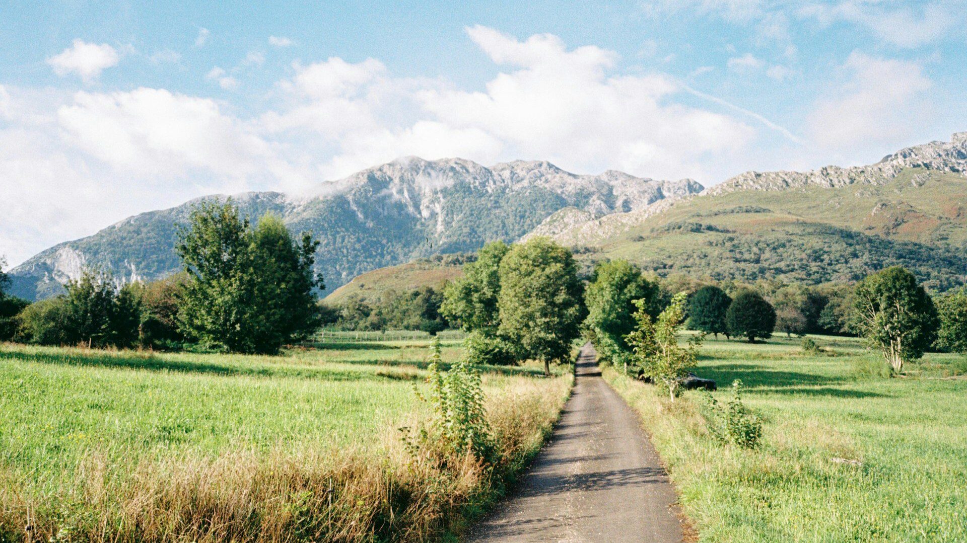 Empty gravel track leading through fields towards a mountain range