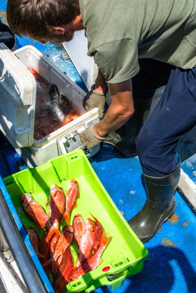 Fisherman on boat with crate of fish