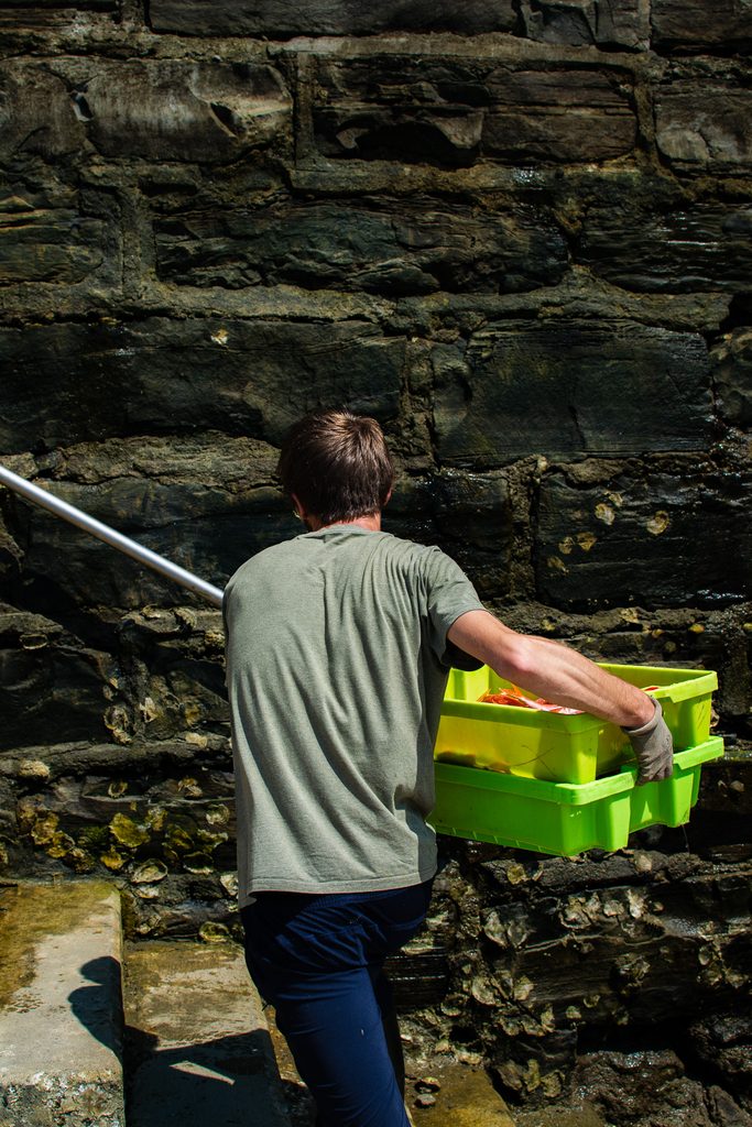 Fisherman walking up stairs with crates of fish