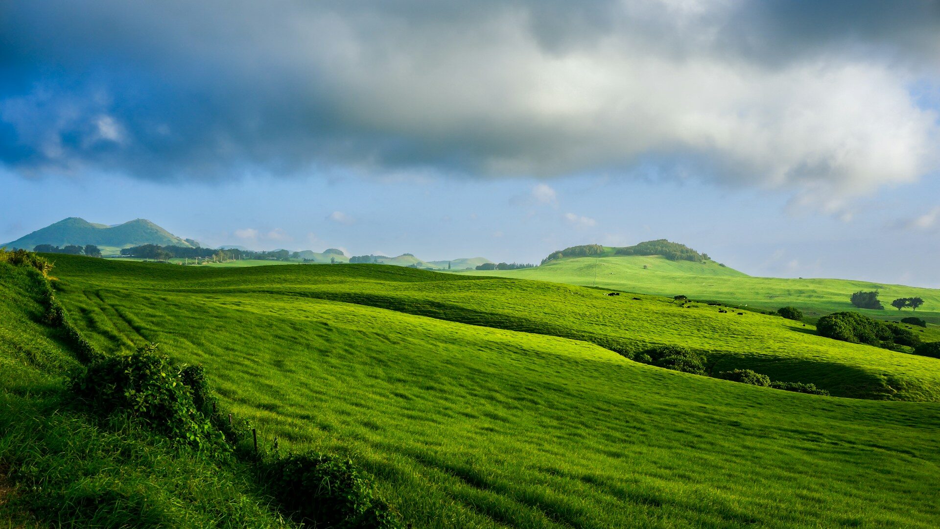 Lush green volcanic landscape