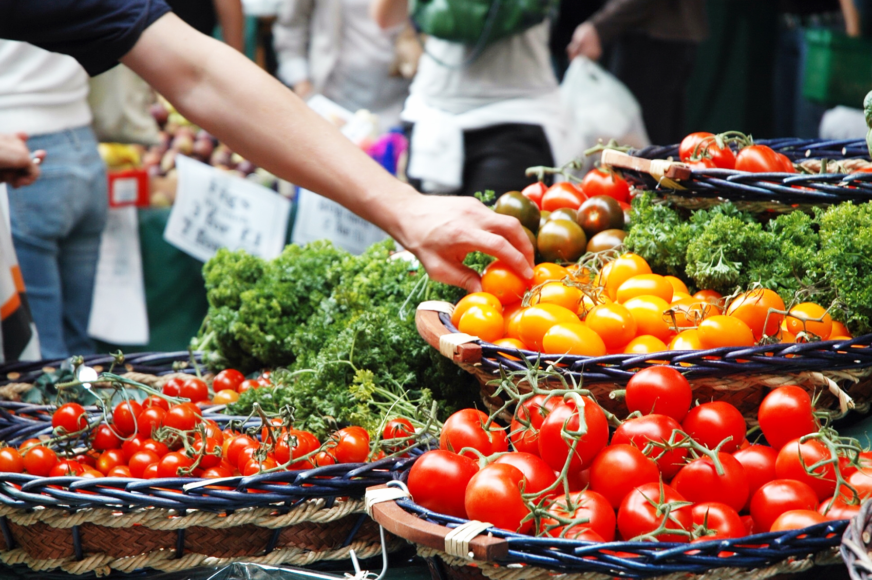 Delhi Farmers Go Organic