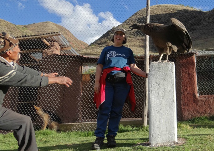 Condor Attack